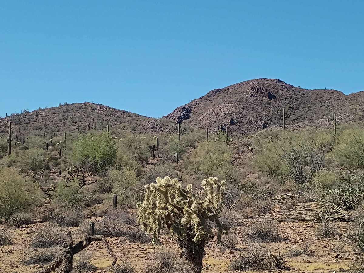 J/K Trail photo 5