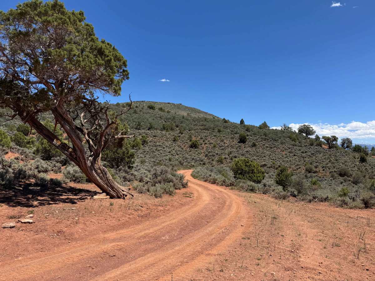 BLM 8480 trail photo
