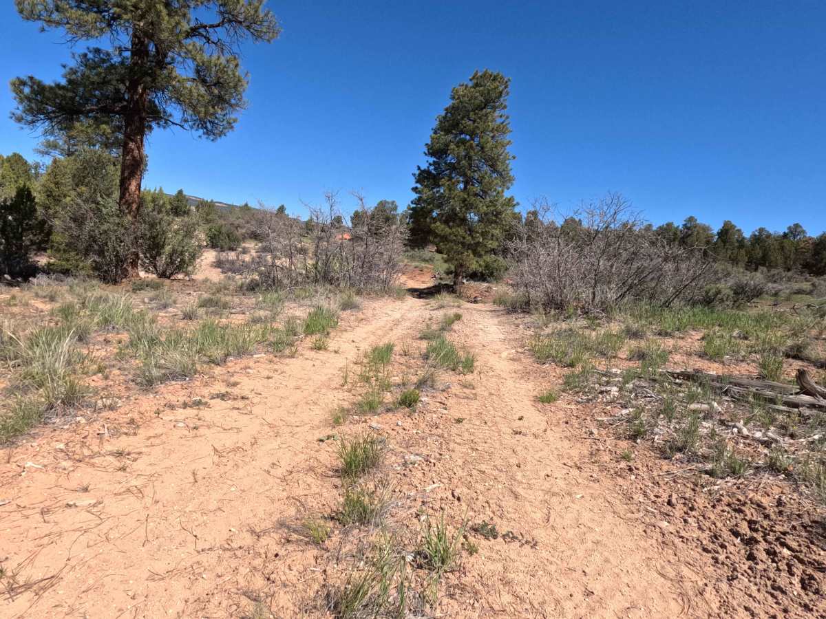 BLM 73H photo 3