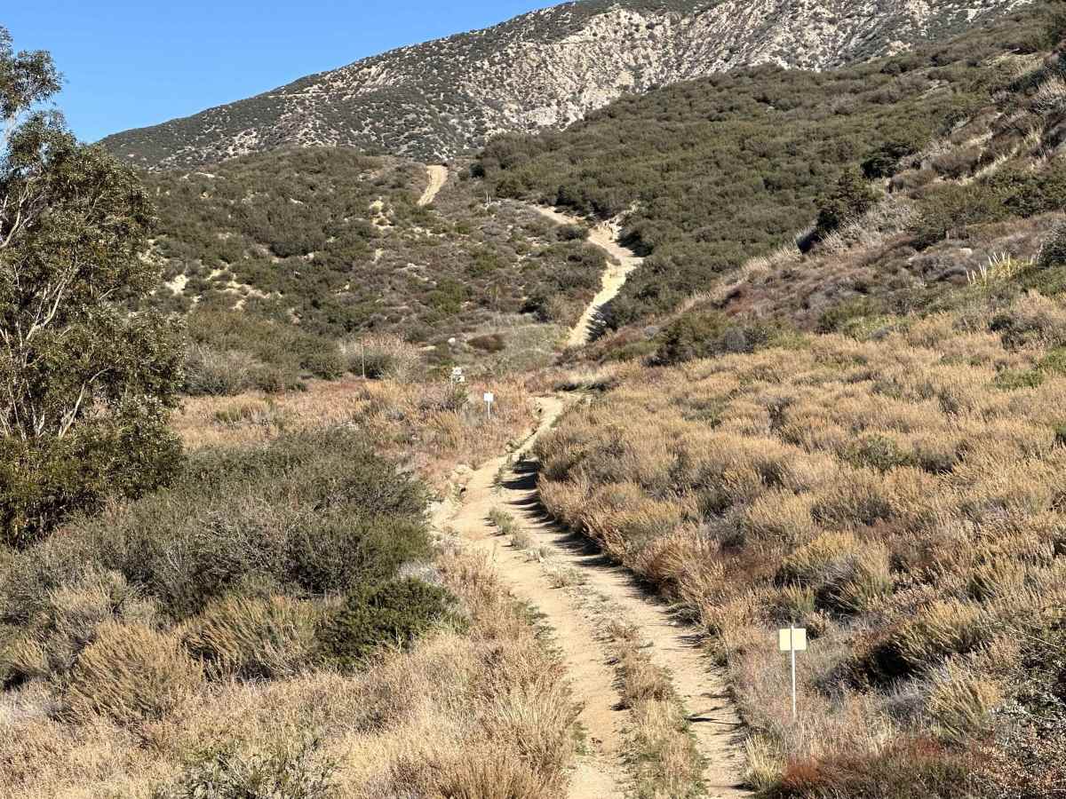 Cleghorn Technical Access Road photo 6