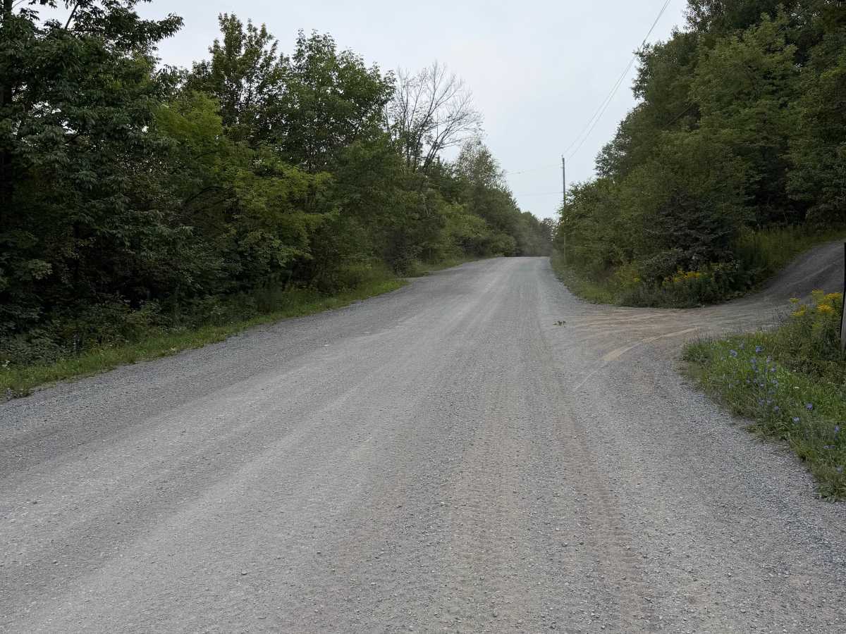 Carpenter Road photo 2