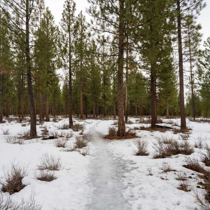 Near McGregor Loop Near McGregor Loop