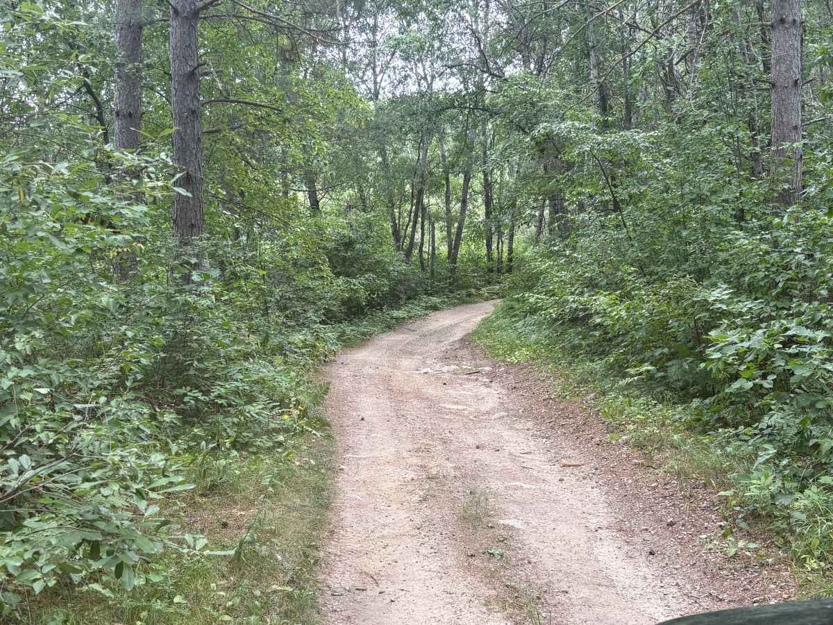 Forest Road 0404 photo 3
