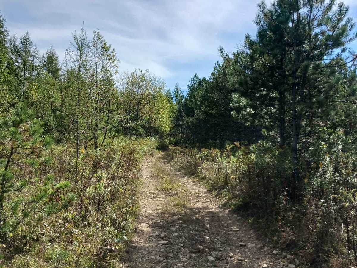 Trail 10 - Rock Run Recreation Area photo 6