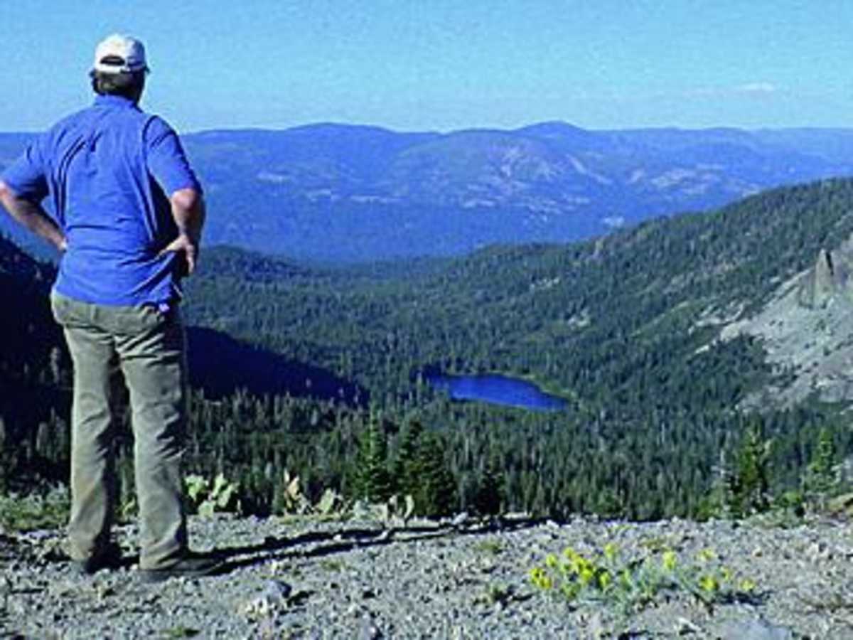 Deer Lake, Gold Valley photo 2