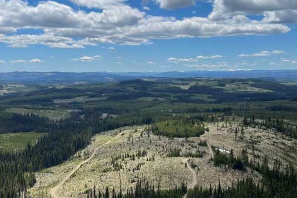 Rim Trail to Greenstone Lookout