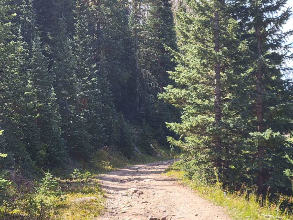 West Fork Park Creek Ascent trail photo