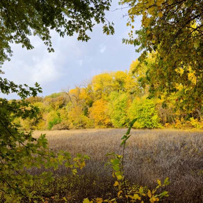 Near Bass Ponds Trail