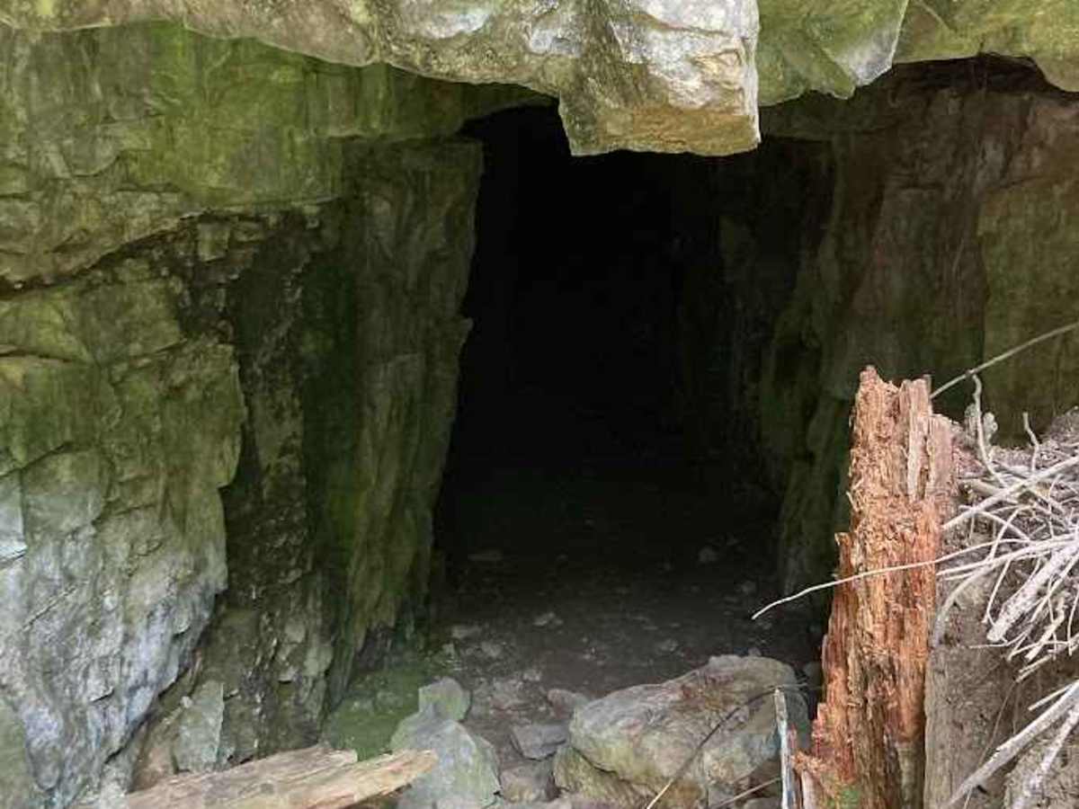 Moonlight Creek photo 6