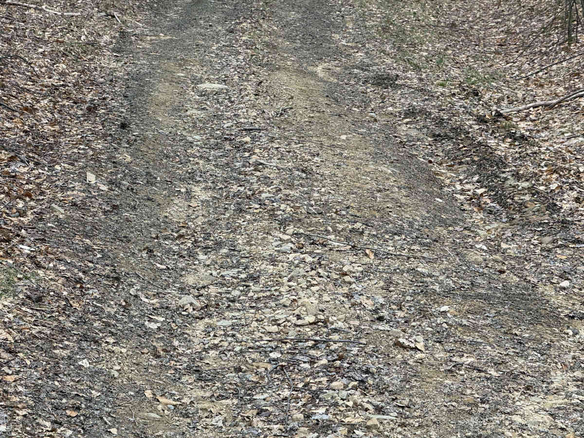 Colby Run - FS 02338 photo 2