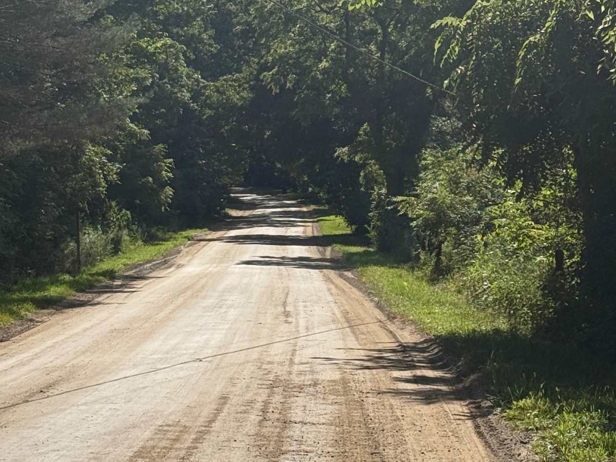 Tiplady Trail photo 3