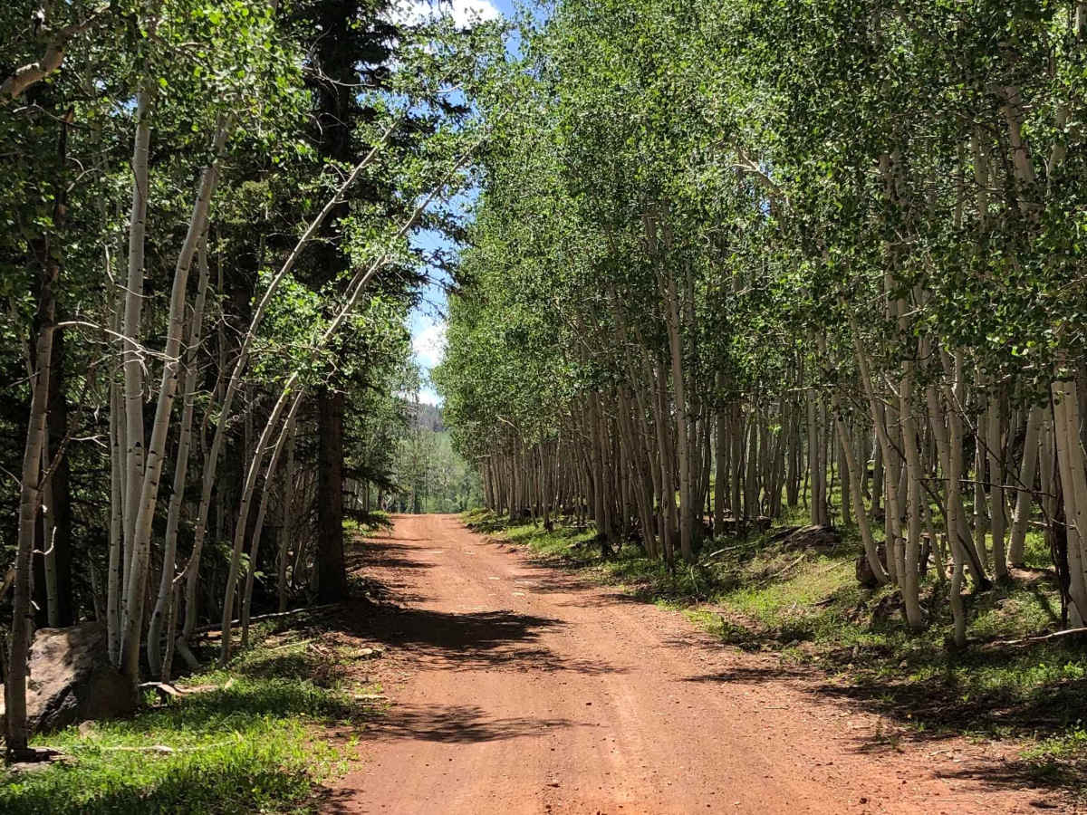 Red Desert Road photo 3
