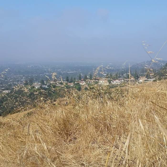 Near Gale Mountain Loop