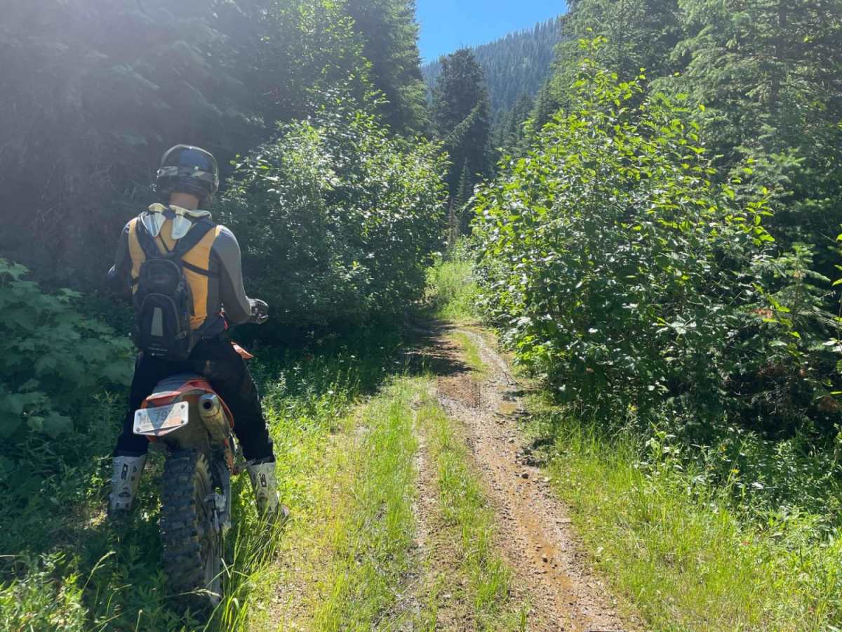 Goose Creek trail photo
