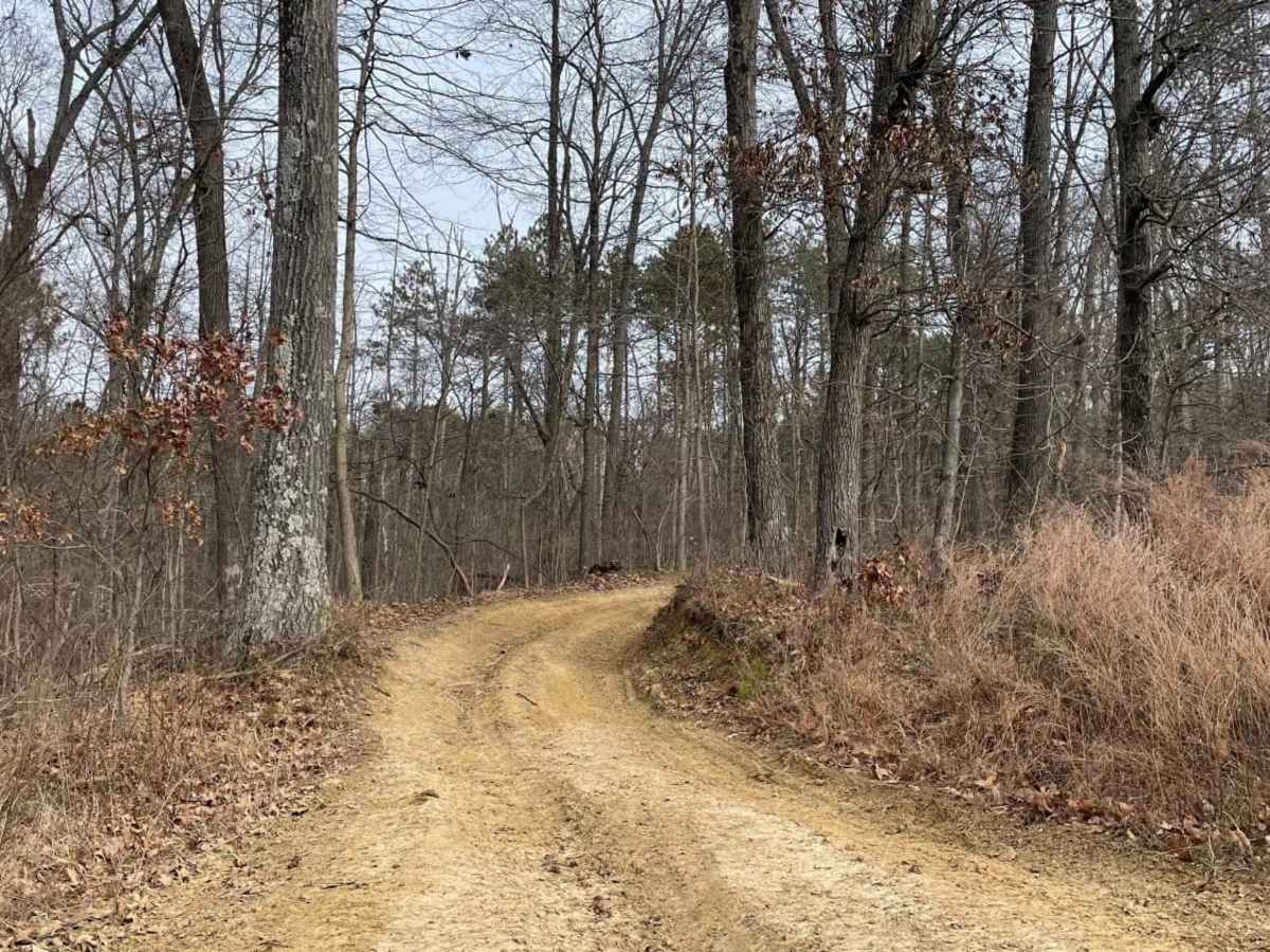 Redbird Trail 5x trail photo