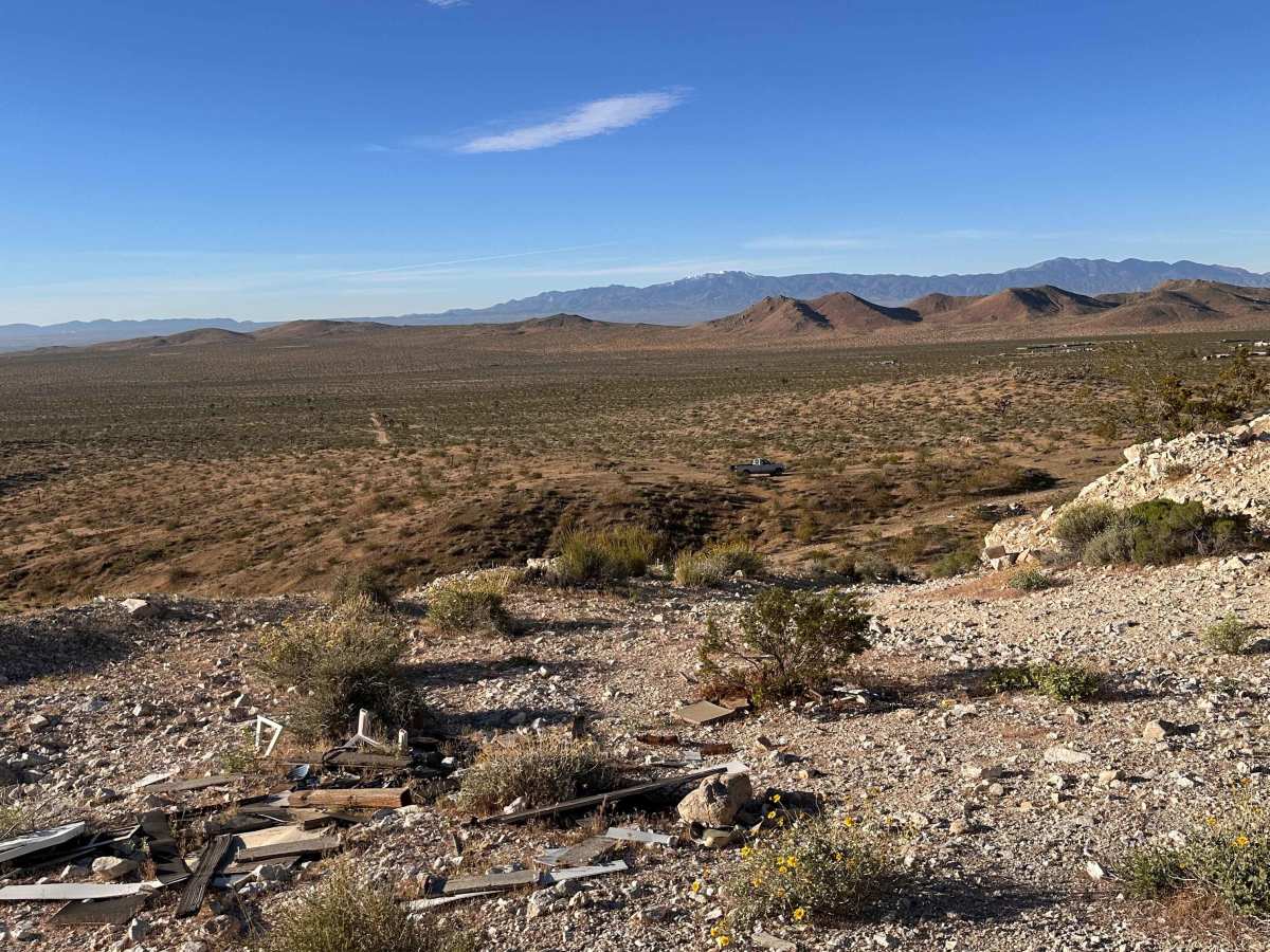 Coyote Campout photo 5