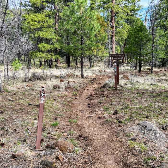 Near Arizona Trail Passage 27: Blue Ridge Near Arizona Trail Passage 27: Blue Ridge