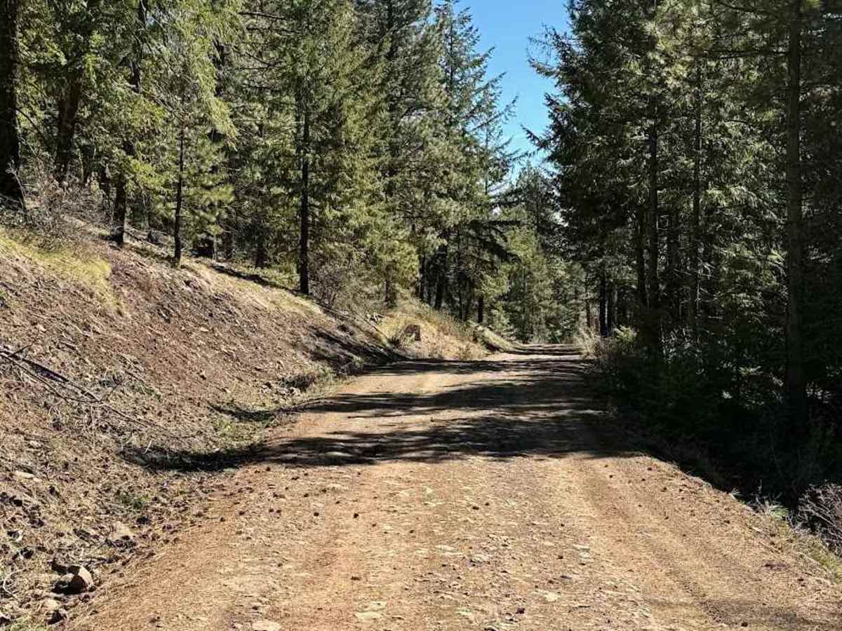 Dawson Canyon Road photo 2