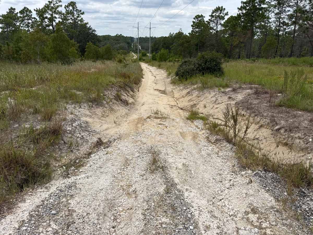 Tinsley Powerline Road photo 3