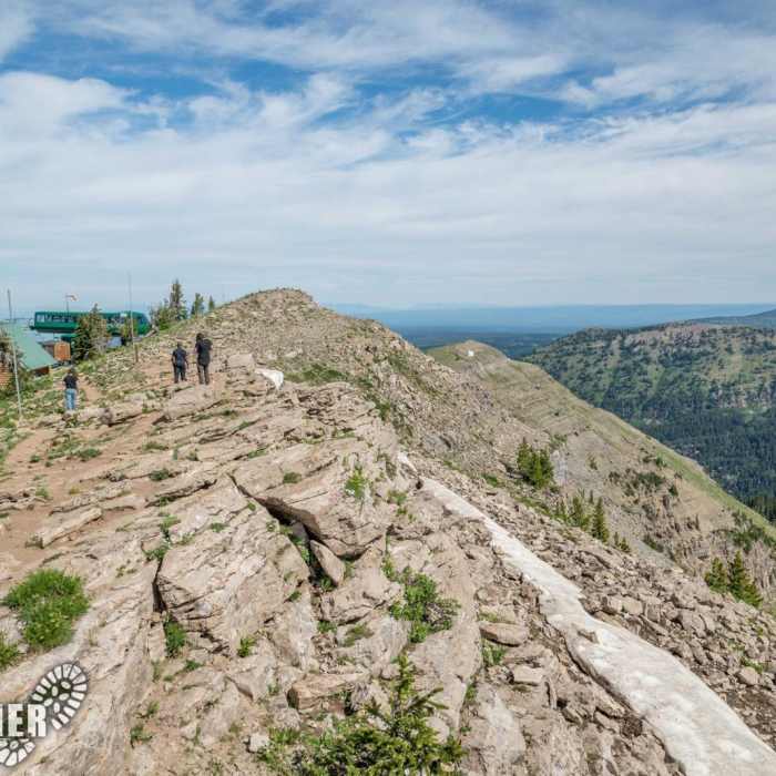 Near Bannock Trail (Fred's Mountain)