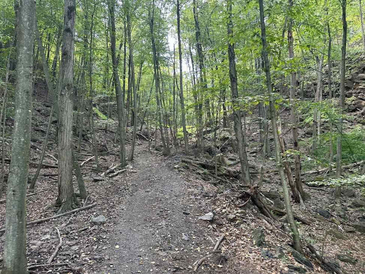 ATV Trail 81 photo 4