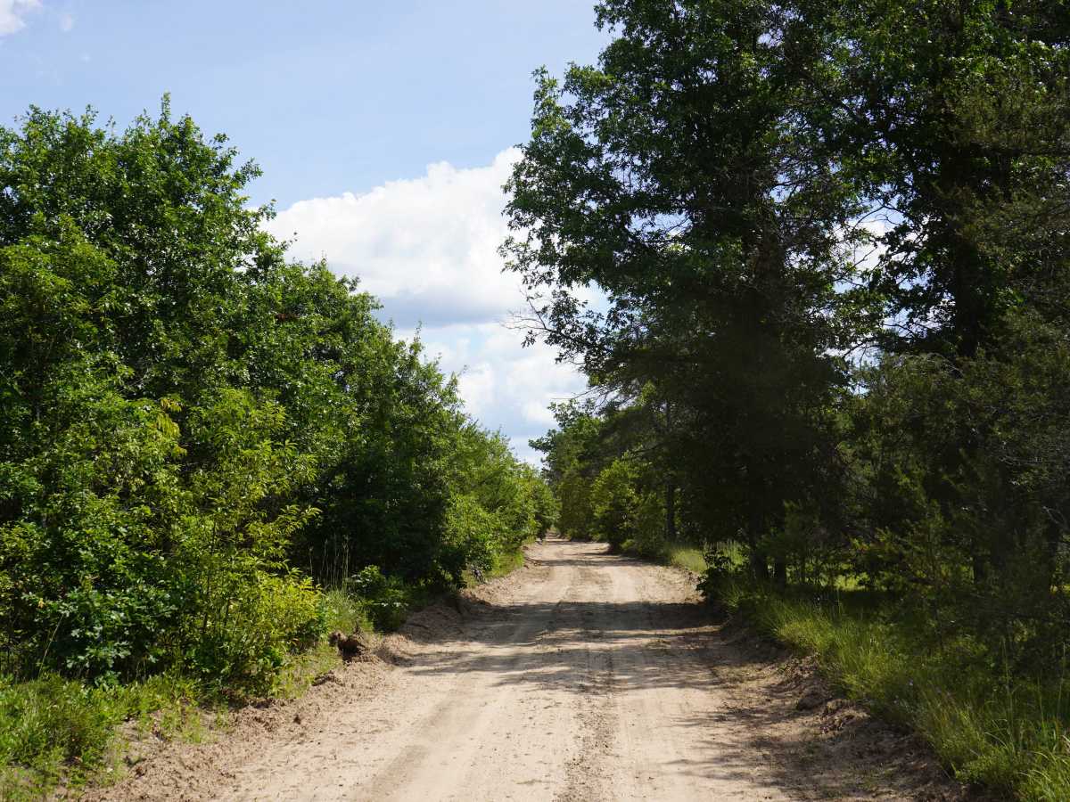 East Railroad Trail photo 2