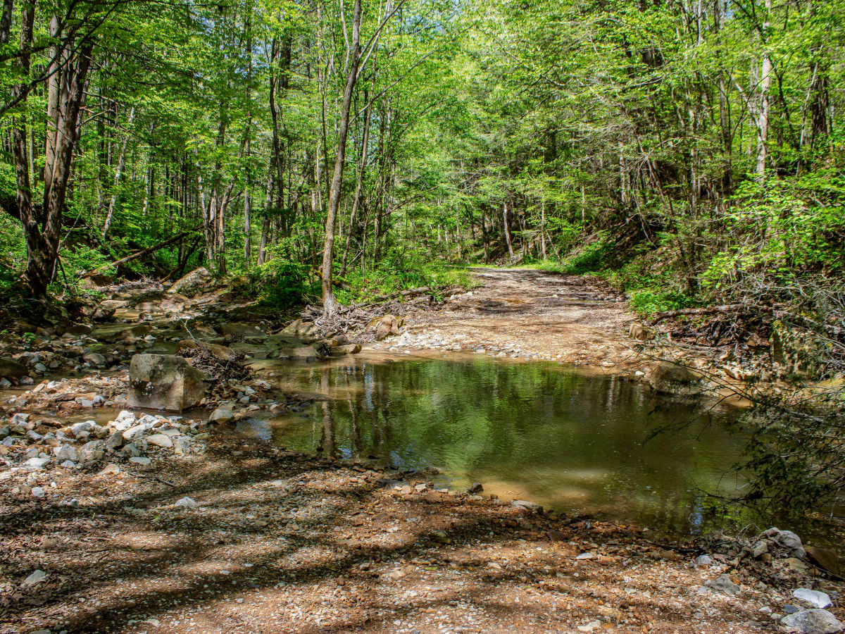 Jake's Branch Road  photo 4