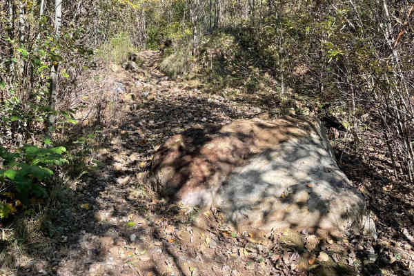 Lower Hydro Hill