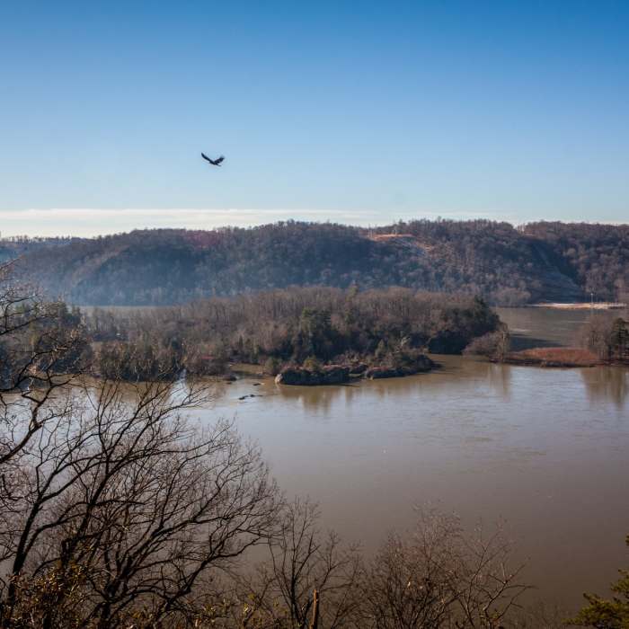 Near Susquehannock Trail