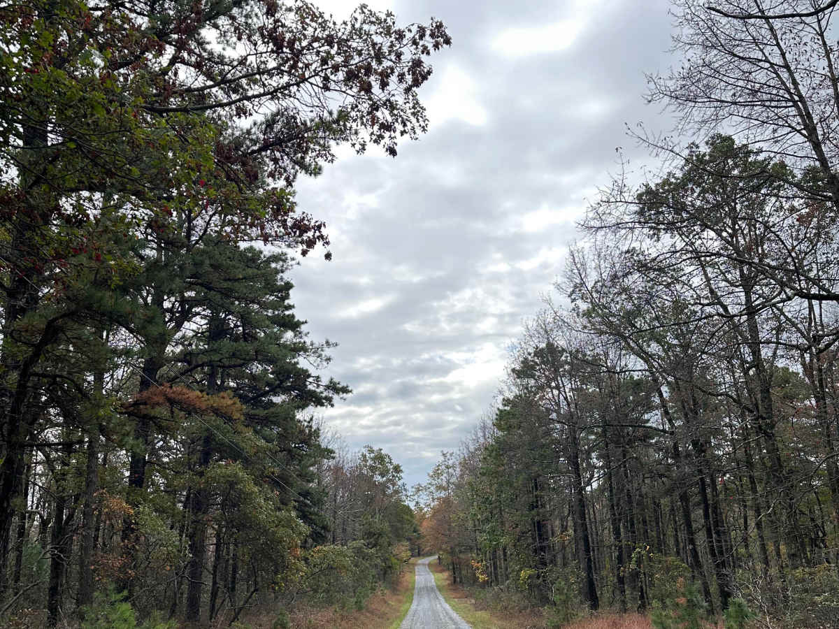 Ridge Road Extension trail photo