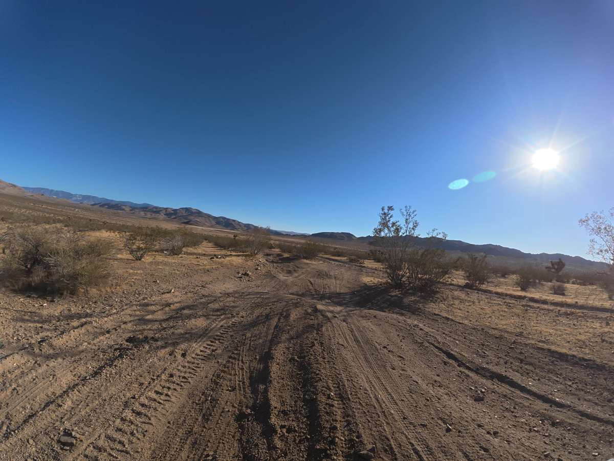 BLM SV2633 photo 5