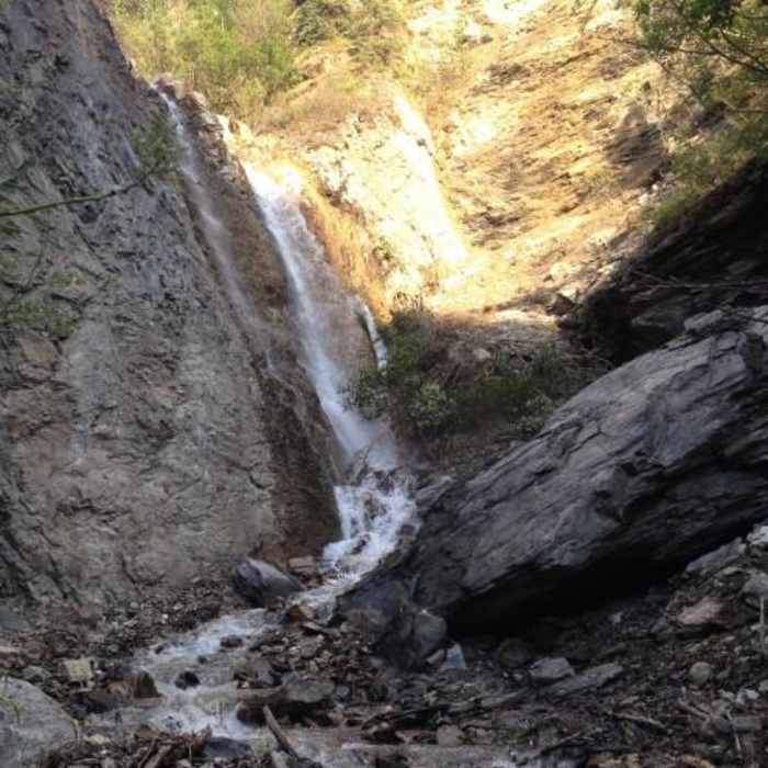 Near Fox Creek Near Fox Creek