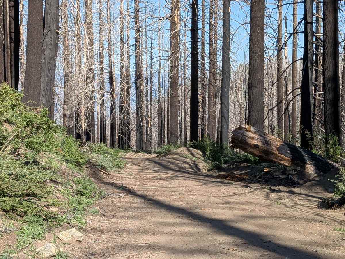 Mule Peak South - FS 22S03 photo 6