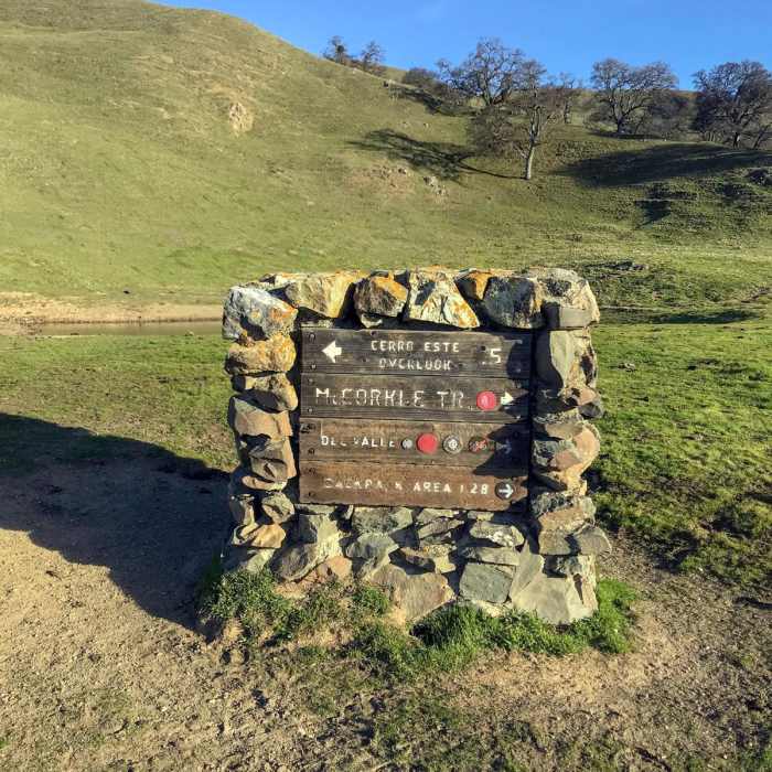 Near Rose Peak via McCorkle Trail + Ohlone Wilderness Trail