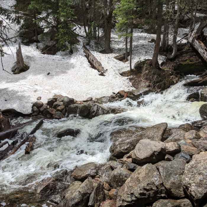 Creek crossing in early June Near Whitney Lake Trail #2002