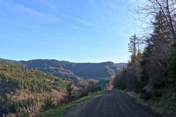 Bobcat Cutoff Road