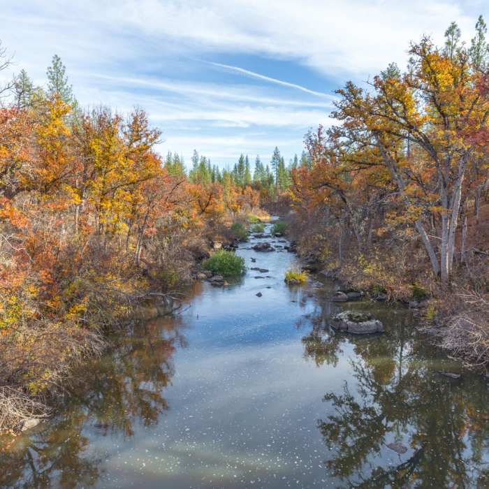 Near Headwaters Trail + PCT bridge
