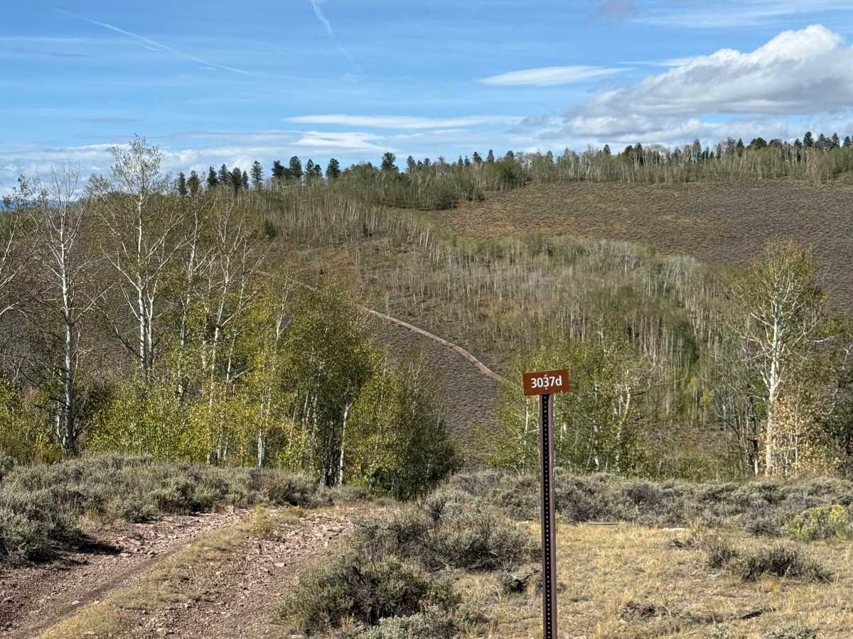 East Fork Spur 2 photo 6