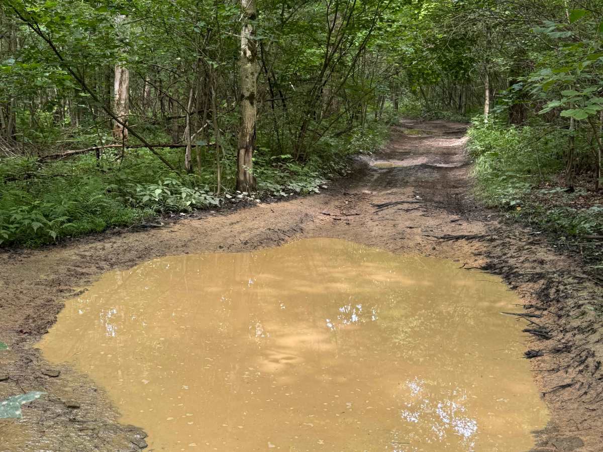 Trail 19 photo 3