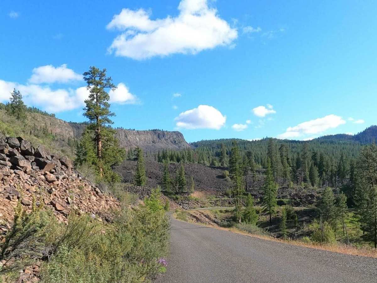 Bethel Ridge Road - NF1500 photo 4