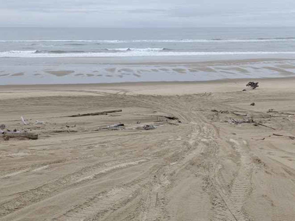 South Jetty Sand Road trail photo