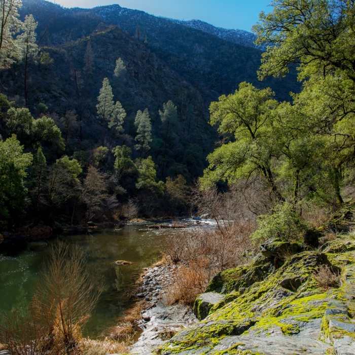 Near Hites Cove Trail