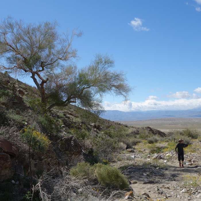 Near Rock Tanks Loop