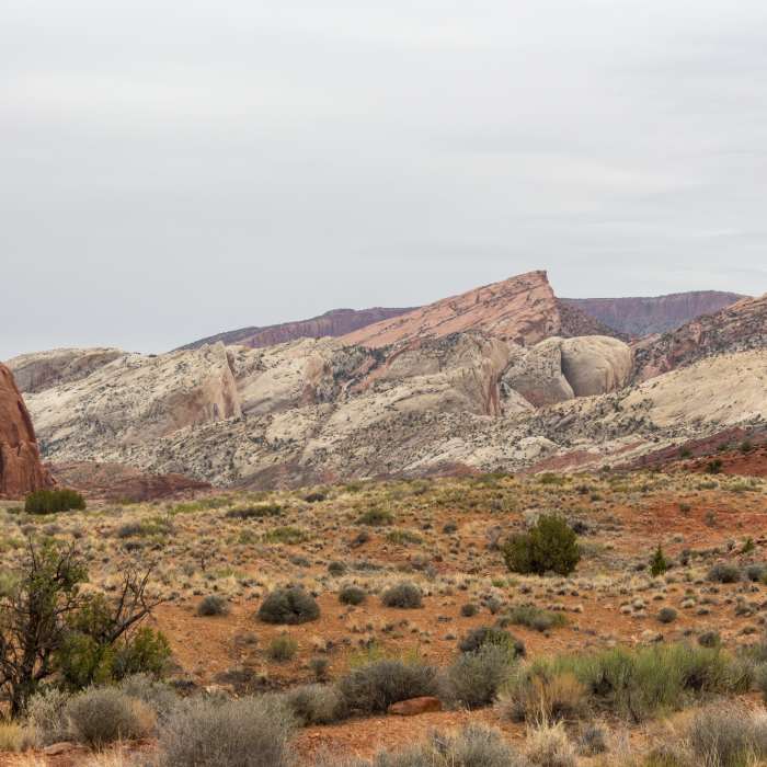 Near Halls Creek Drainage
