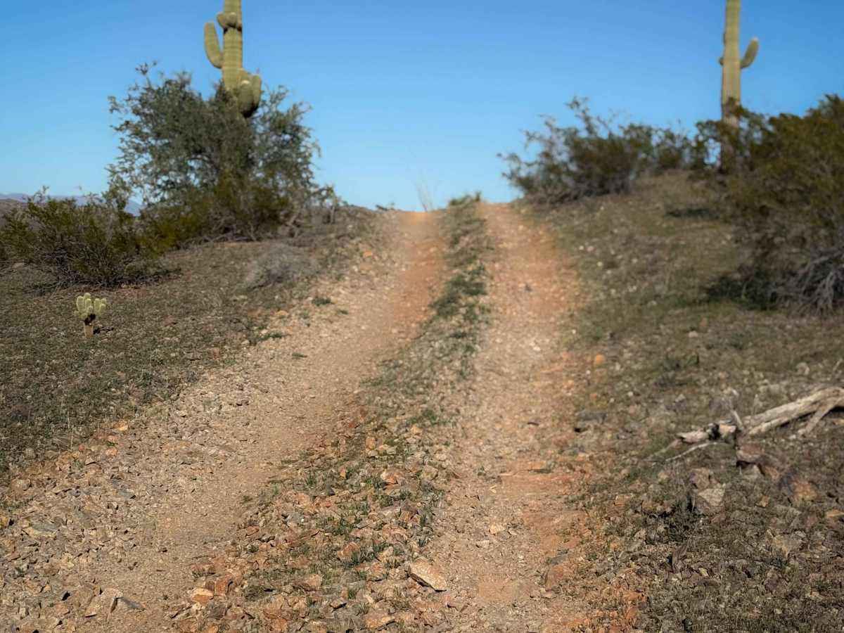 Creosote Run   trail photo