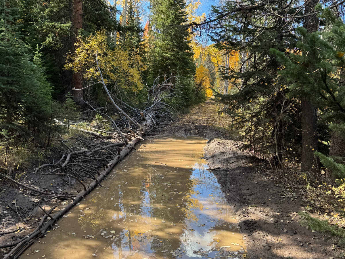 Red View Road trail photo
