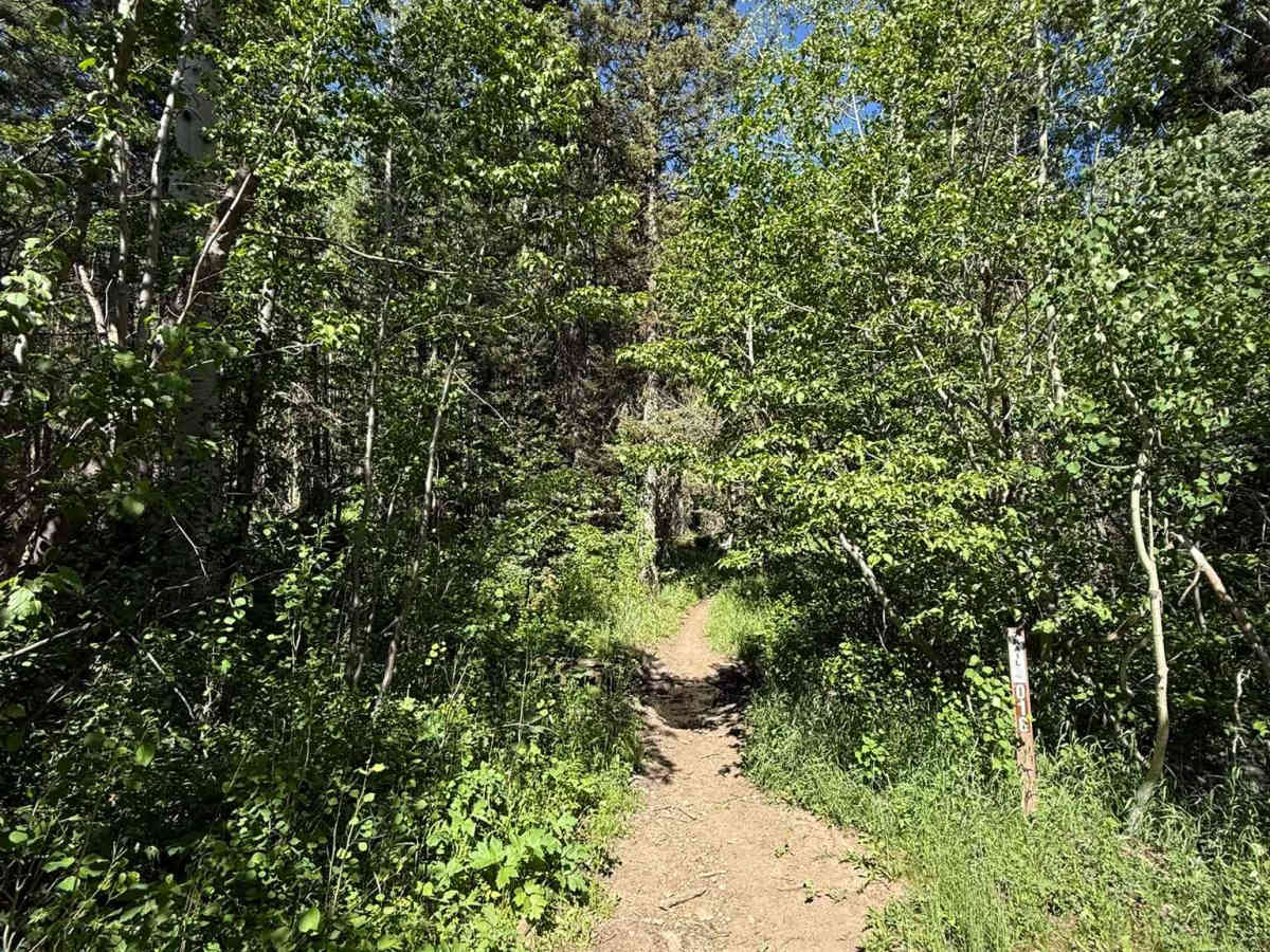 Aspen Flat Trail No. 018 photo 3