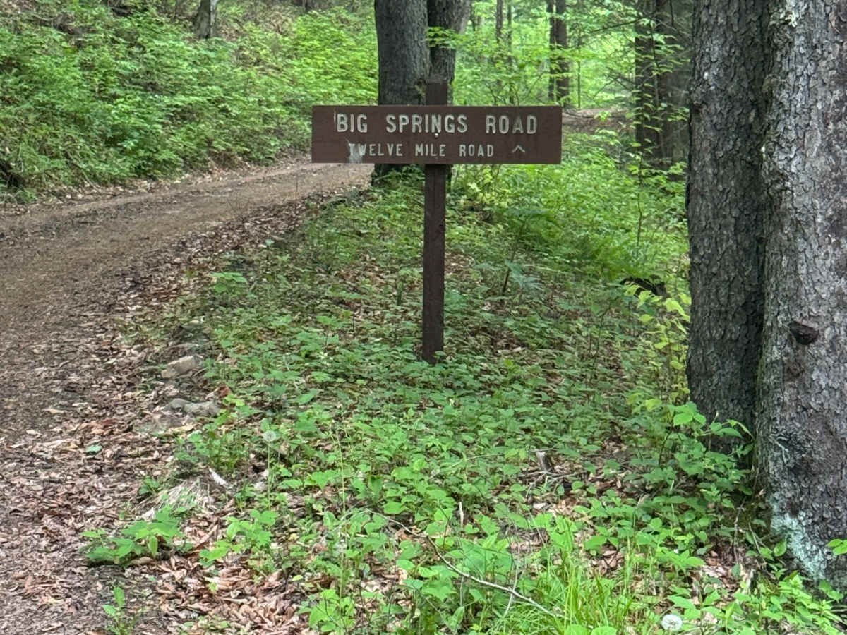 Big Springs Road trail photo