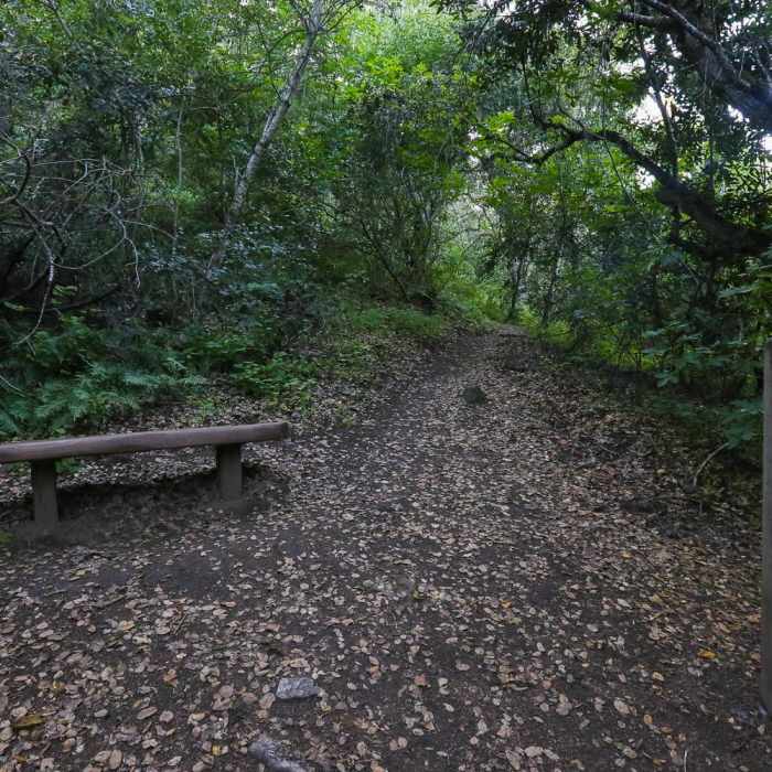 Near Waterfall Trail Near Waterfall Trail