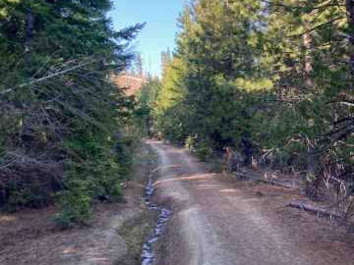 Hillside Strangler trail photo